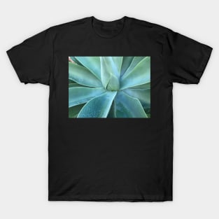 Agave with Rain Drops T-Shirt